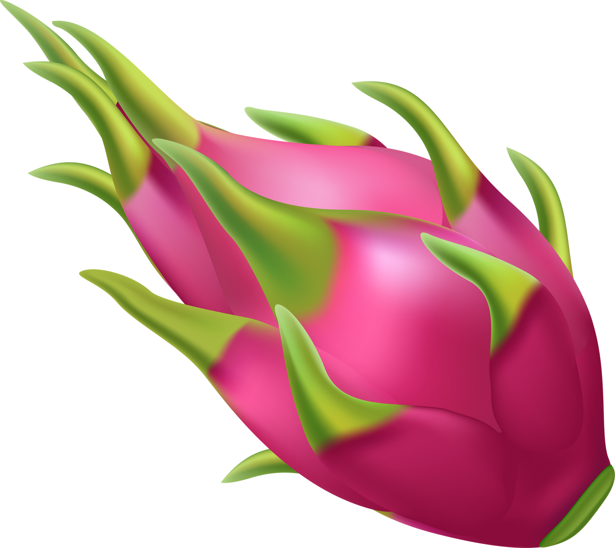 Fresh ripe dragon fruit. Organic fruit. PNG 3d illustration isolated on transparent background.